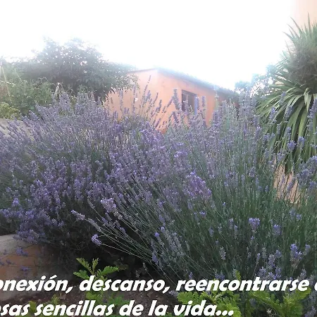 Pou De Beca Allotjaments I Vall d'Alba