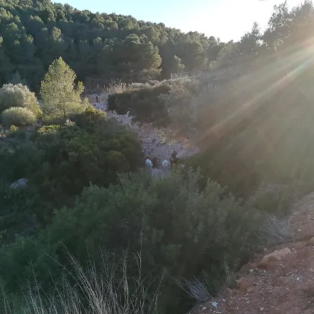 Pou De Beca Allotjaments I *